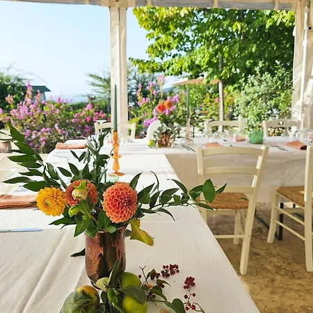 Poggio Del Bolognino