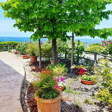 Farma Poggio Del Bolognino Lugnano in Teverina