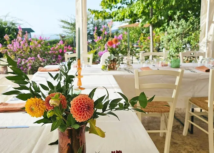 Poggio Del Bolognino