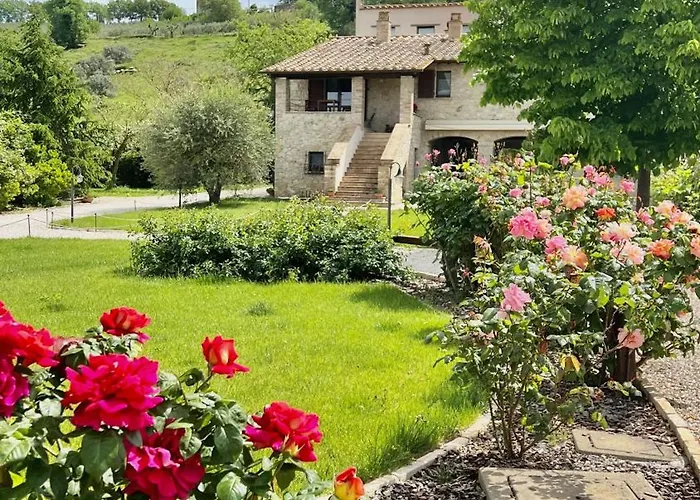 Poggio Del Bolognino *